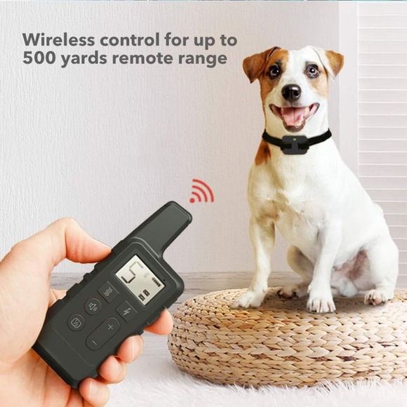 house of Firelily Other - Dog trainer all size dogs